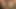 retro vintage orgy big cock natural tits cumshot lingerie
