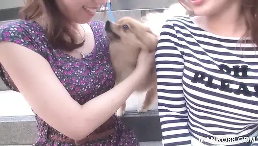 Utangaç Japon kankalar işe başlıyor! Manko88'in dörtlü seksi