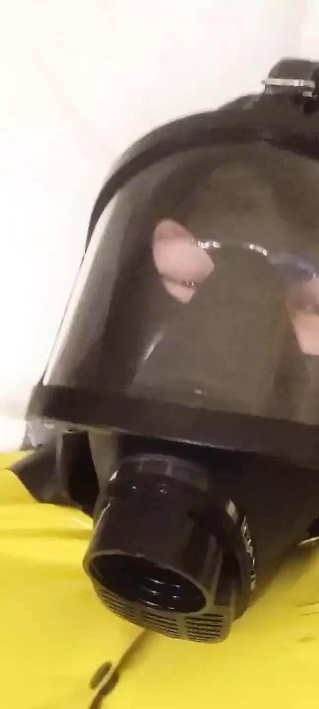 Gasmasked Latex Vis Drone Cumming