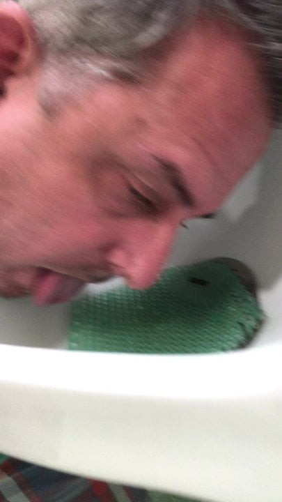 Cock