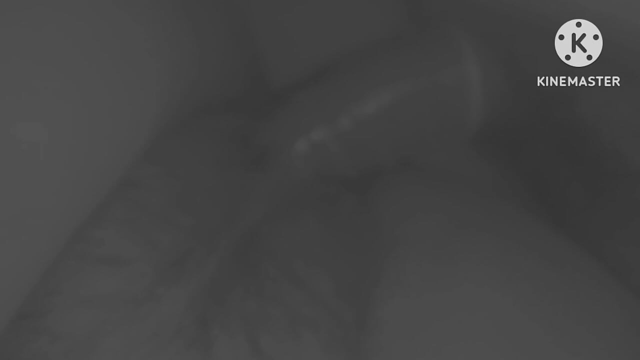 لطيف جدا مثير الباكستانية بهابهي اللعنة الكبيرة أشرطة الفيديو مالو بهابهي مالو عمتي xxx