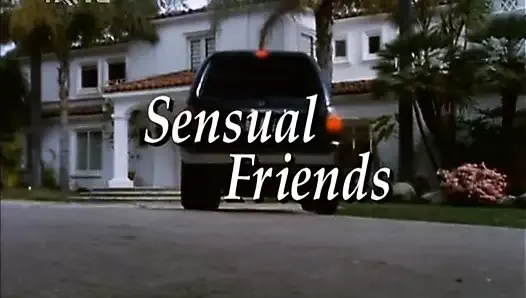 Skinemax movie - ''Sensual Friends''