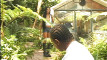 Pratinjau video