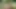 HUNT4K. Genç ve yaşlı bir adam arasında çok fazla dölle açık havada sert seks