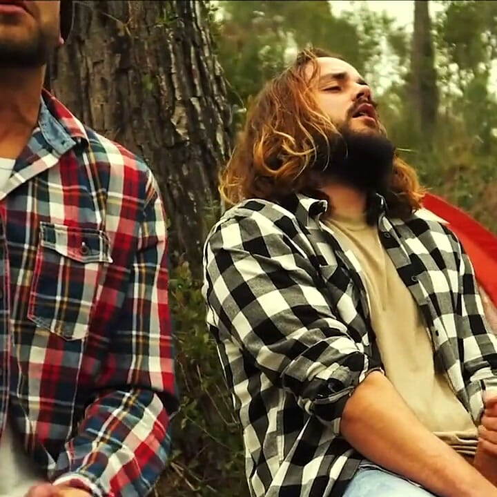 Camping and Mulching of Bearded Males