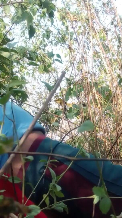 Memorable moment from "New married life new couple fast time  enjoying life - Desi bhabhi ass fucking and old man"