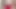 Meaty flailing cock