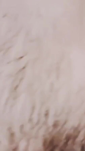 Jaw-dropping moment from "Desi sexy bhabhi ko choda fat ass motta boba full enjoy bhabhi with super sexy desi bhabhi"