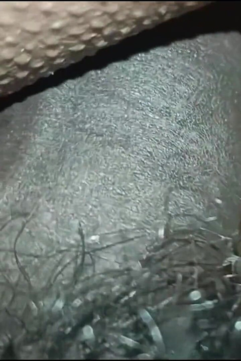 Mijn stiefmoeder alleen thuis laten