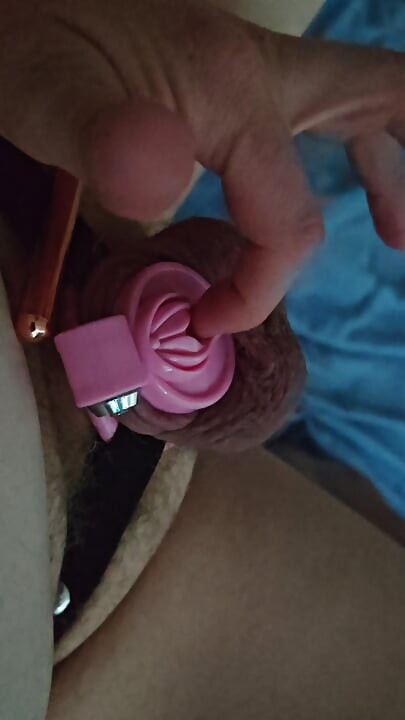 My orgasm from a remote control toy by people online in devon england