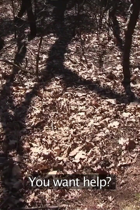 Girlfriends XXX - a Hike Leads to Park Lesbian Sex Pussy Fingering and Pussy Licking