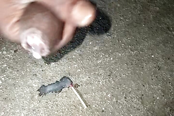 Bm Brilliant