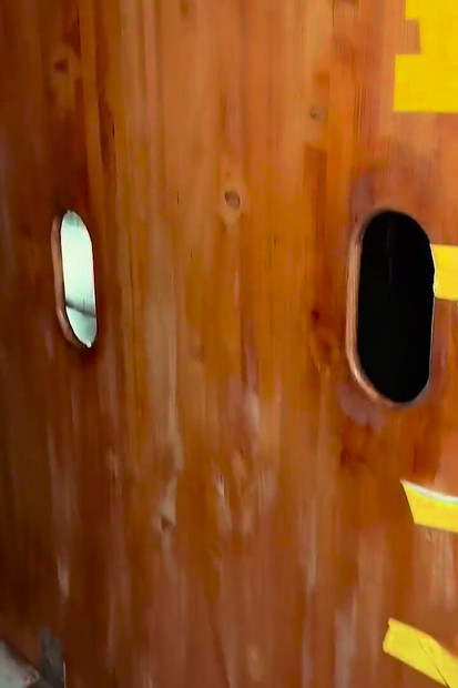 German Pig Tag Teamed in Darkroom