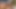 BBCの世話人が隣人の継娘とセックス