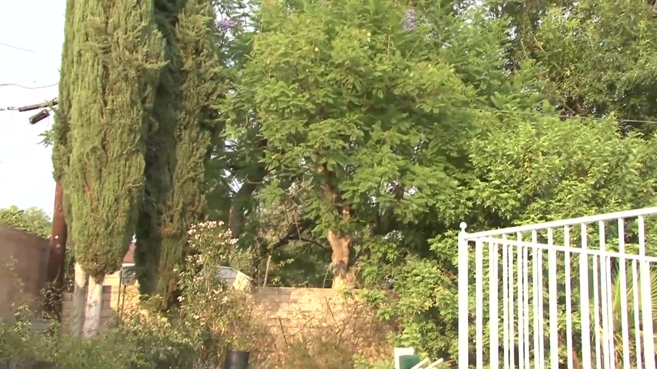 Genç beyaz evli kadının götünde büyük siyah bir sır var