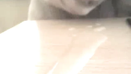 Yeni boşalma