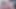 BTS kissing with Blondie Banks