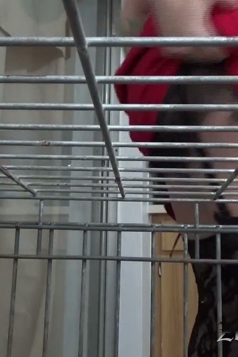 Caging otroka