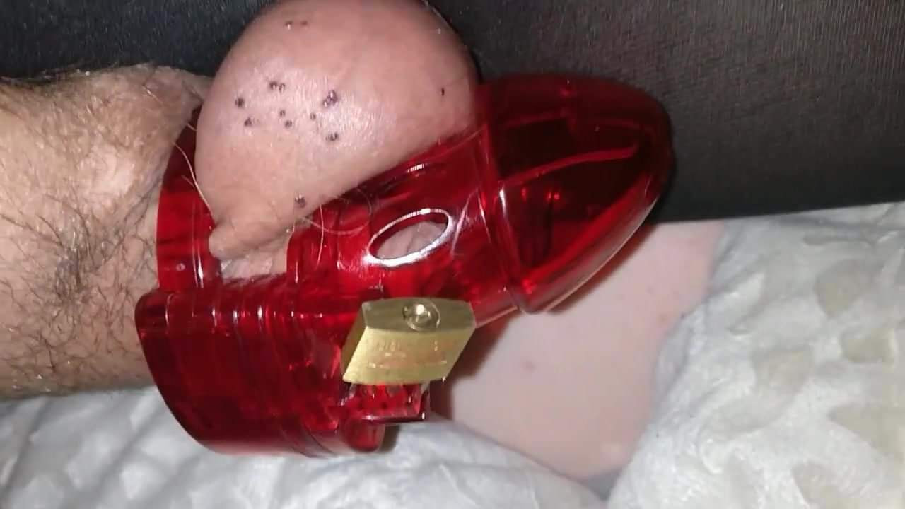 A male in chastity after giving his lady several orgasms
