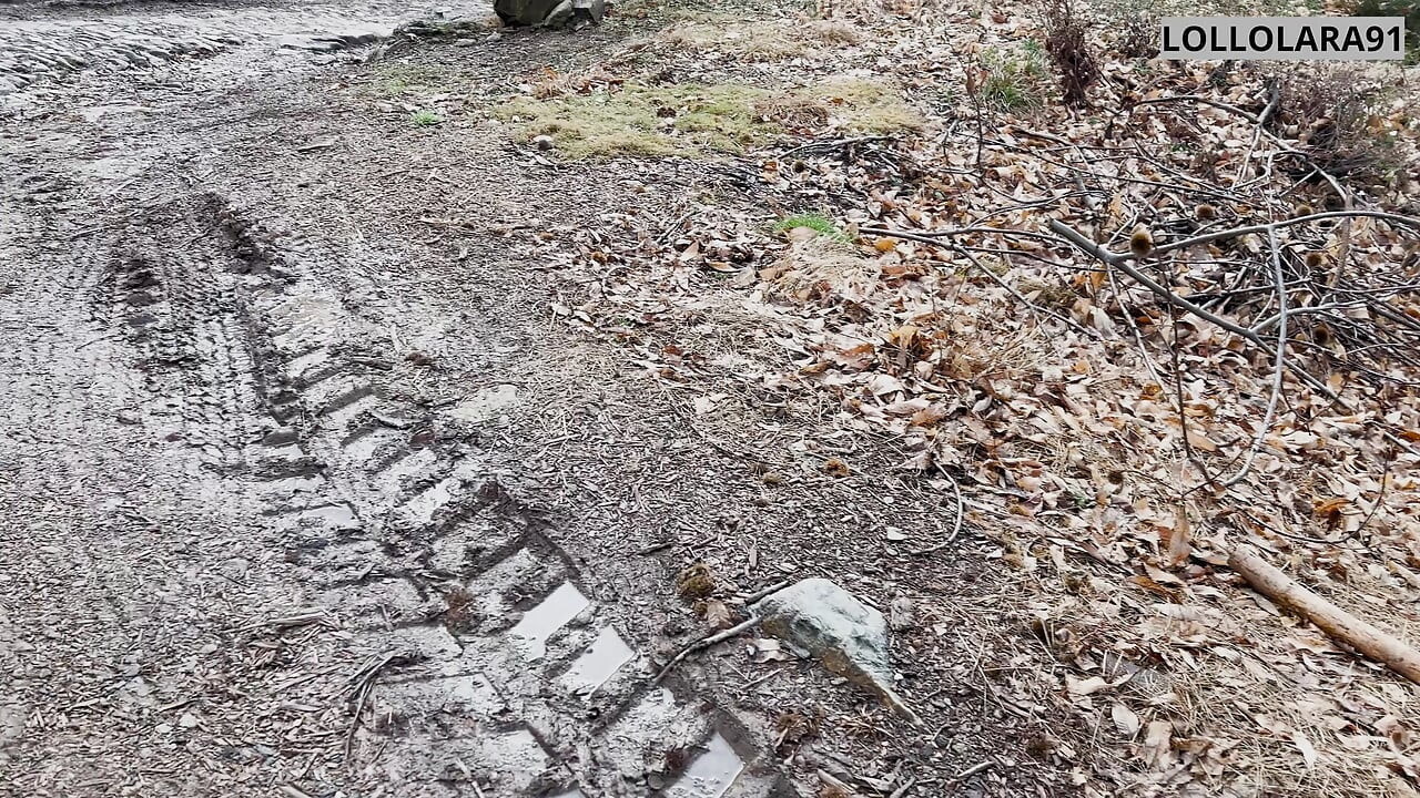 lost in the woods