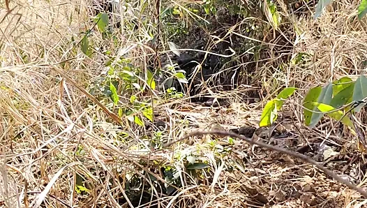 Я трахнул свою старую подругу в лесу