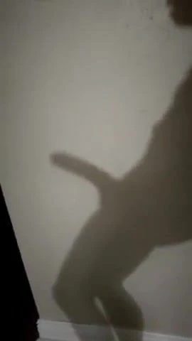 Shadow Game