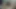 DESI INDIAN ROMANTIC COUPLE SENSUAL SEX