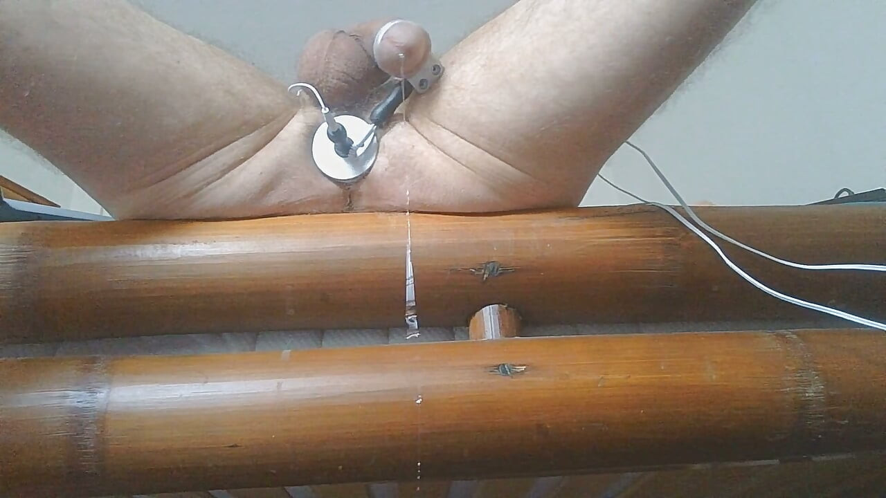 Long Edging
