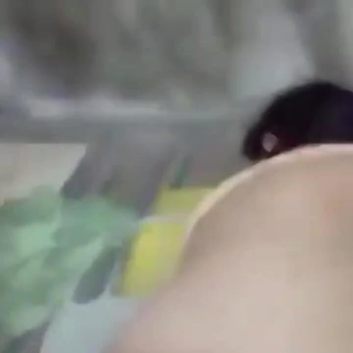 Standing Sex and Carrying the Cheating Slut Wife Making Her Scream Rough and Breeding Gher Pussy in Missionary