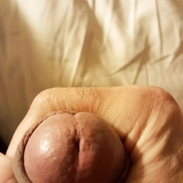 Horny Dilf Touching My Throbbing Cock to Summer Girl Crush