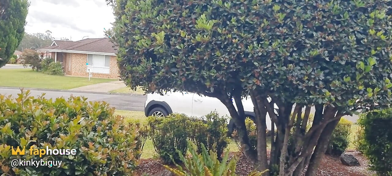 My New Car