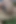 Tombul büyük göt erkeği için şişme dildoyla mastürbasyon yapıyor ve filme alınmaya bayılıyor