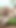 Jaw-dropping moment from "Brunette 18yo Teen with big natural tits wants a cumshot on her boobs"