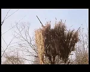 프랑스 빈티지