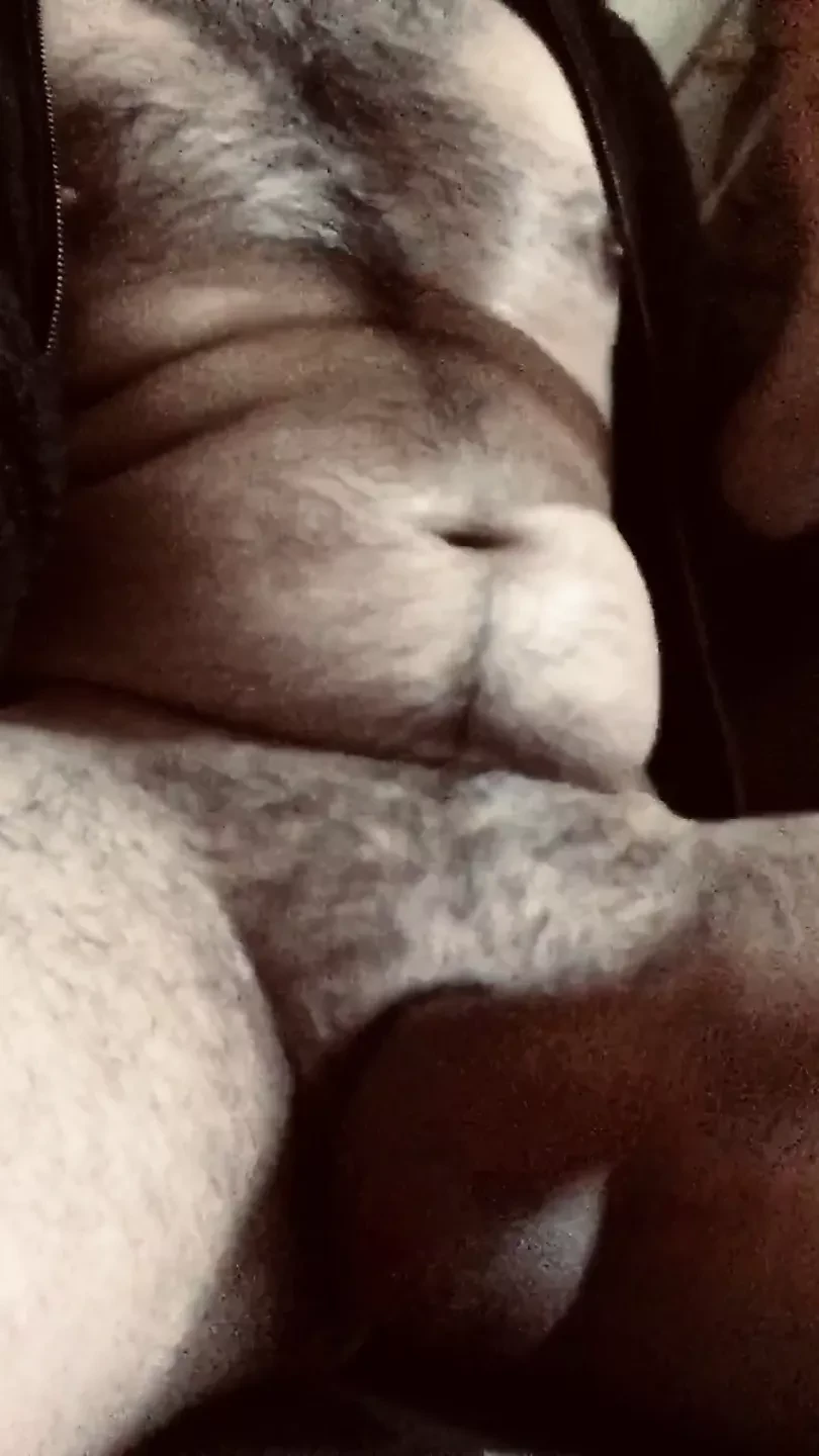 bear jerking off
