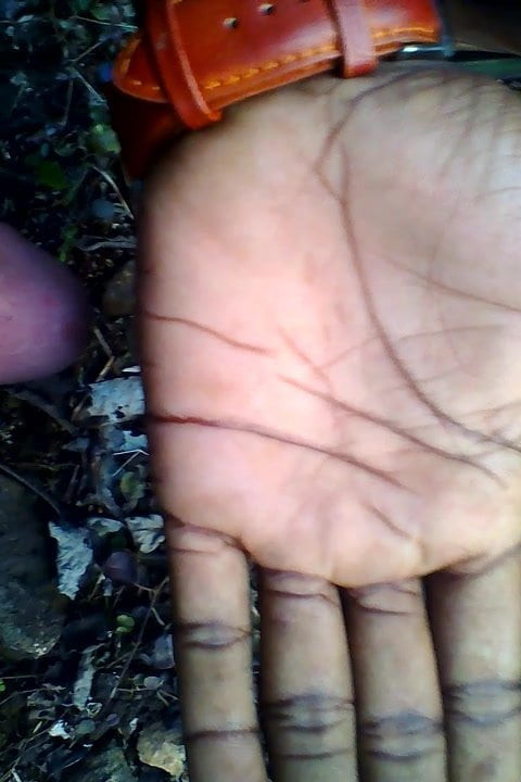 Desi Land video