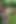 Edepsiz yaşlı adam bahçede genç bir esmere yarağını emdiriyor