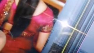 Cum on Tamil Serial actress priya bhavani, Vidhya pradeep