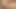 Stepbrother gets hot when he sees me in lingerie, he sucks my tits and vagina until orgasm
