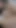 Powerful moment from "Perverted Stepdad Takes Anal Virginity & Creampies Petite Stepdaughter Ellie Shoule– Porno Dan 4k"