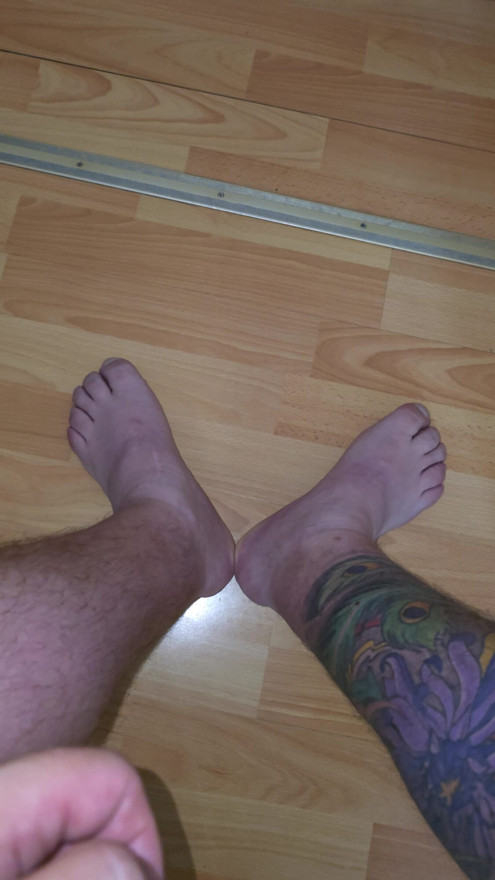 , pies gay