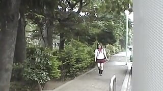 Japan Beauty