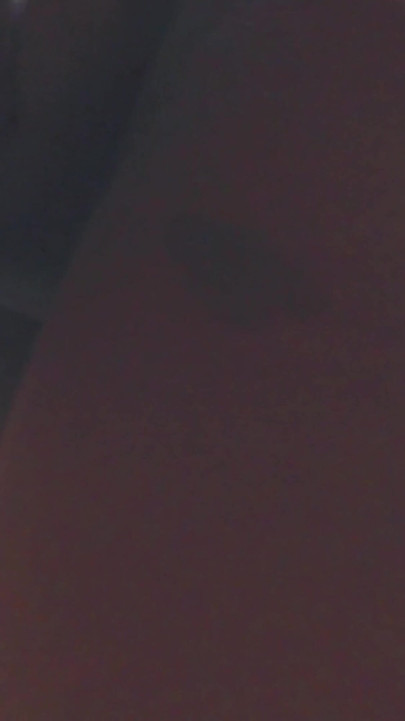 Powerful moment from "The housemaid was fucked by her boss's son until cumshot in pussy."
