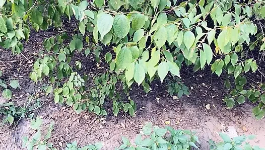 Quick Blowjob Outdoor (POV)