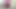 Desi sexy hotLove RasbhariJawani boy wearing ladies bra sexy dance and cock shaking in jungle.