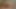 فتيات يصبحن قرنية، صنم الطعام وتجميع زب الرجل العجوز