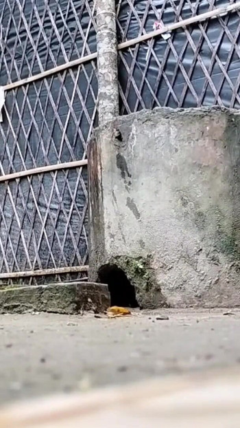 Detik meleleh dari "Isteri Xxx India berkongkek di luar rumah (video rasmi oleh villagesex91)"