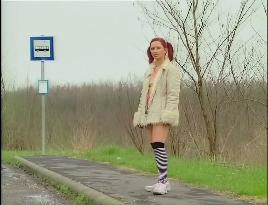 《健全原则家族》第二卷