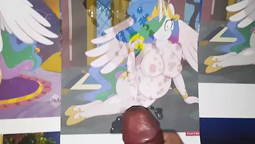 Princesse celestia (mlp) sop cum haraç