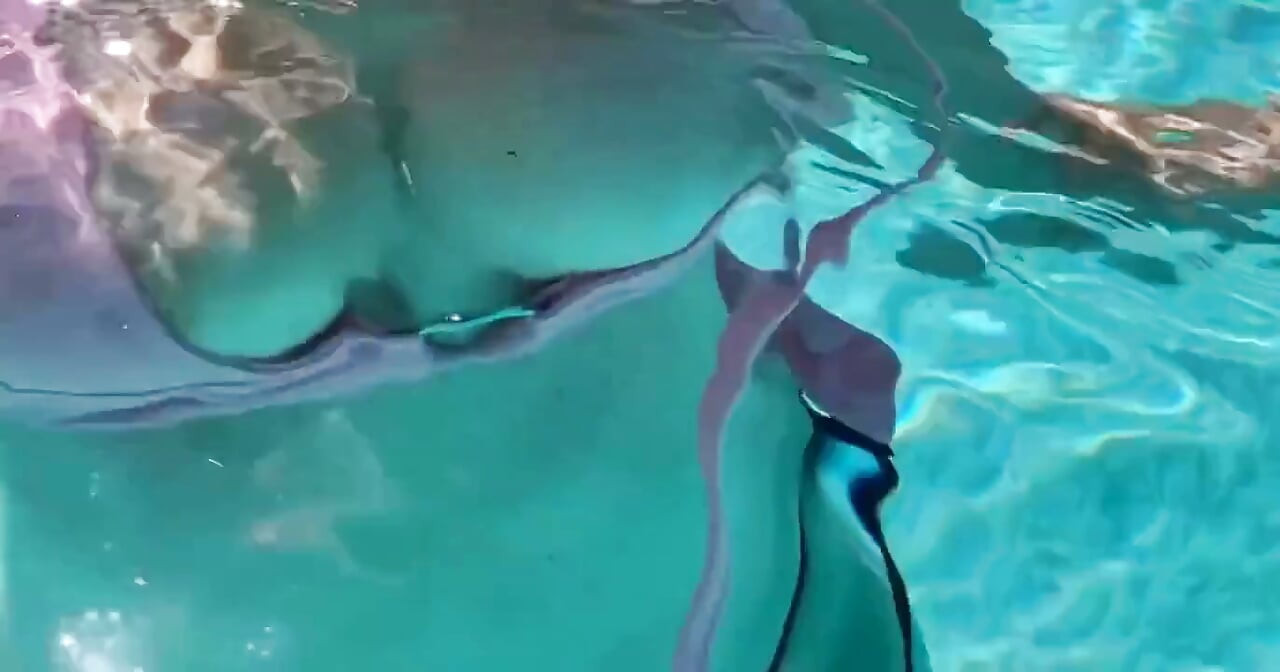 Artemisia Love Showing Her Perfect Big Tits Underwater and Outdoor